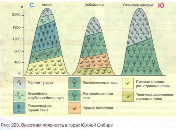 Доклад по теме Высотная поясность. Высотная зональность